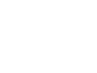 ONE TREE PLANTED